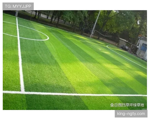 草坪场地规则拆解：足球比赛对草坪的具体标准有哪些？